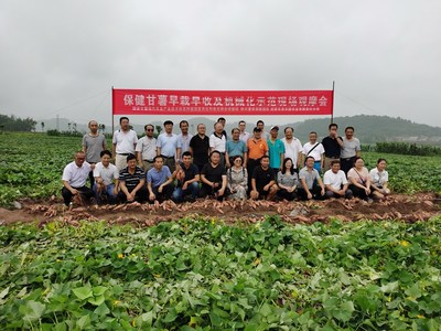 简阳示范现场会 甘薯早栽早收与机械化种植引领薯类产业升级
