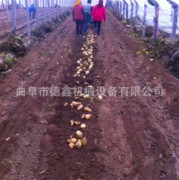 挑选薯类收获机的三个关键点 从质量到产量的全面考量