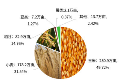 天津市薯类种植产业概况与未来发展路径分析